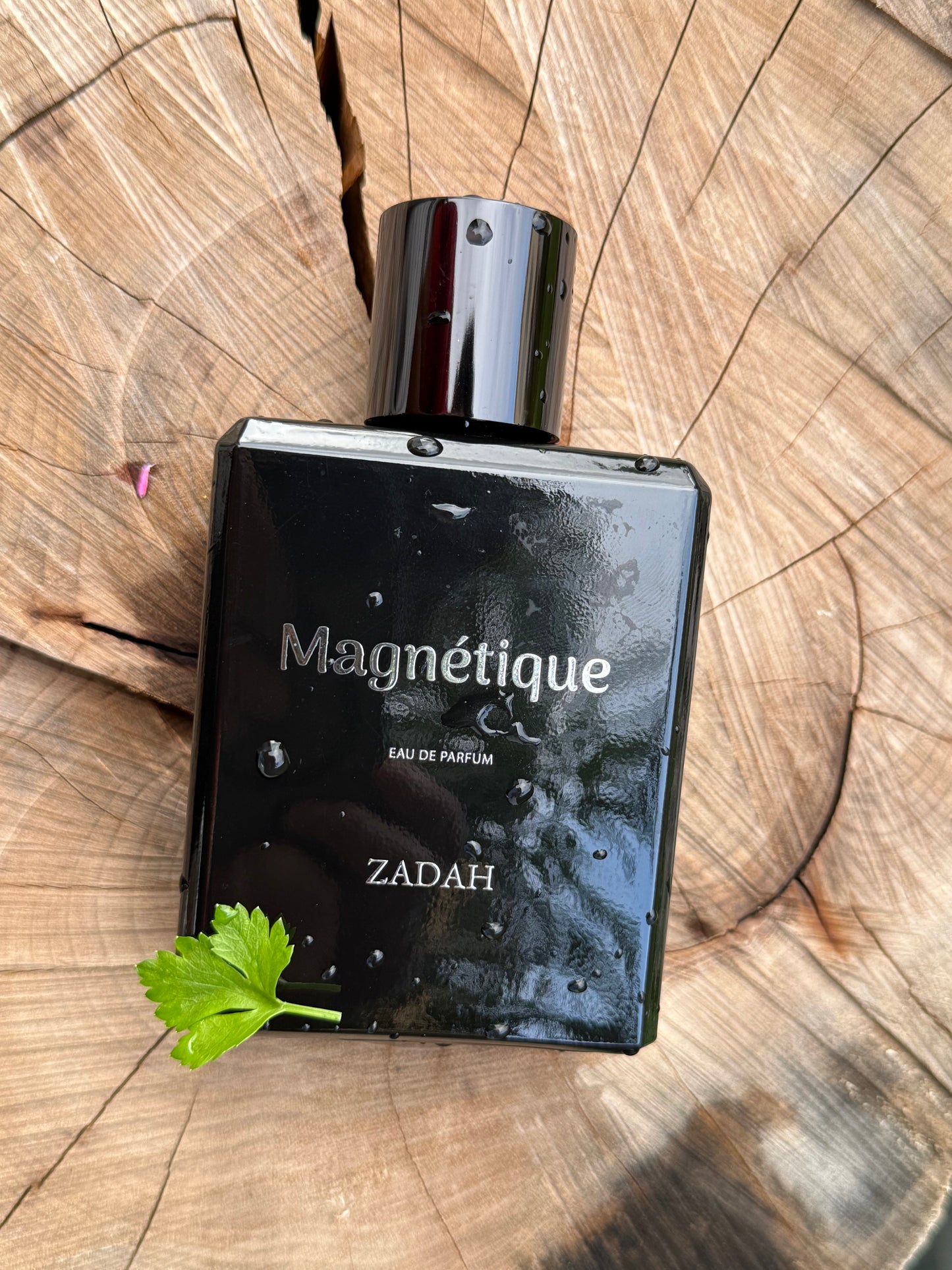 Zadah - Magnétique